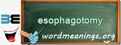 WordMeaning blackboard for esophagotomy
